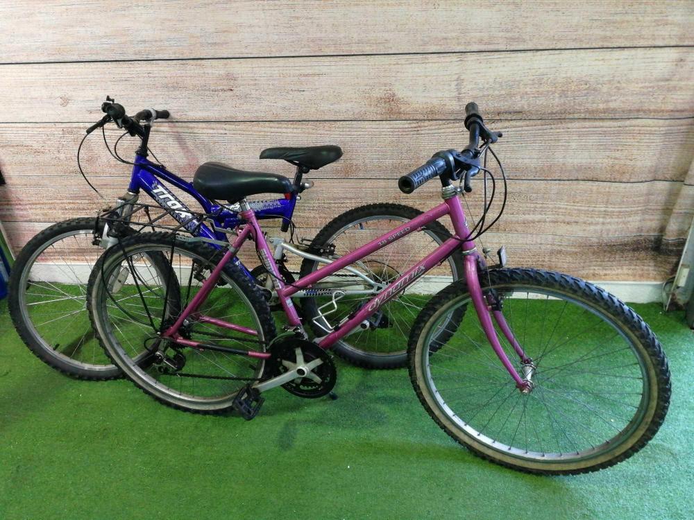 trax ladies mountain bike pink